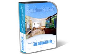 Aquarium HTML PSD Template