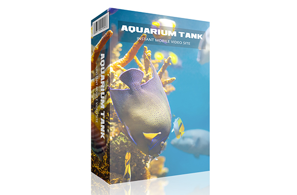 Aquarium Tank Instant Mobile Video Site