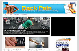 Back Pain WP Niche Theme