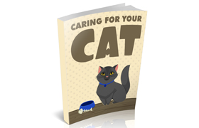 Caring For Your Cat