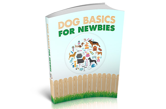 Dog Basics For Newbies