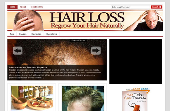 Hair Loss WP Theme Niche Blog