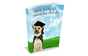 How To Buy A Shock Collar