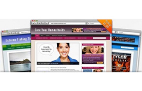 Niche WP Theme and Template