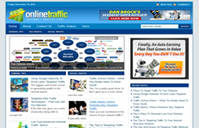 Online Traffic WP Niche Theme