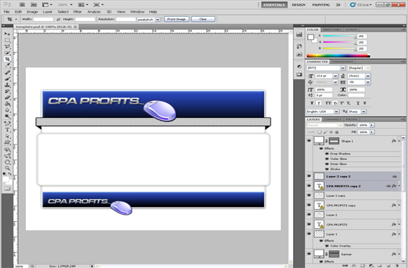 CPA Profits HTML PSD Template Edition 1