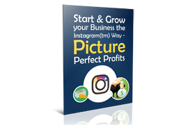 Start and Grow Your Business The Instagram Way ? Picture Prefect Profits