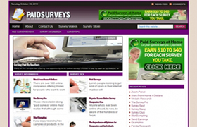 Survey Niche WP Theme