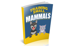 Training Small Mammals
