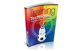 Training Techniques