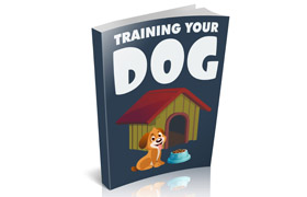 Training Your Dog