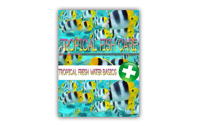 Tropical Fish Care
