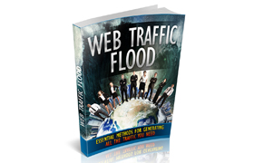 Web Traffic Flood