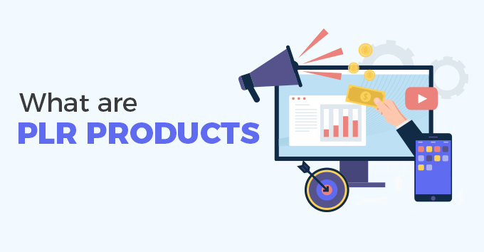 What are PLR Products?