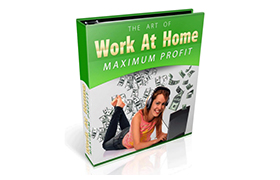 The Art Of Work At Home Maximum Profits